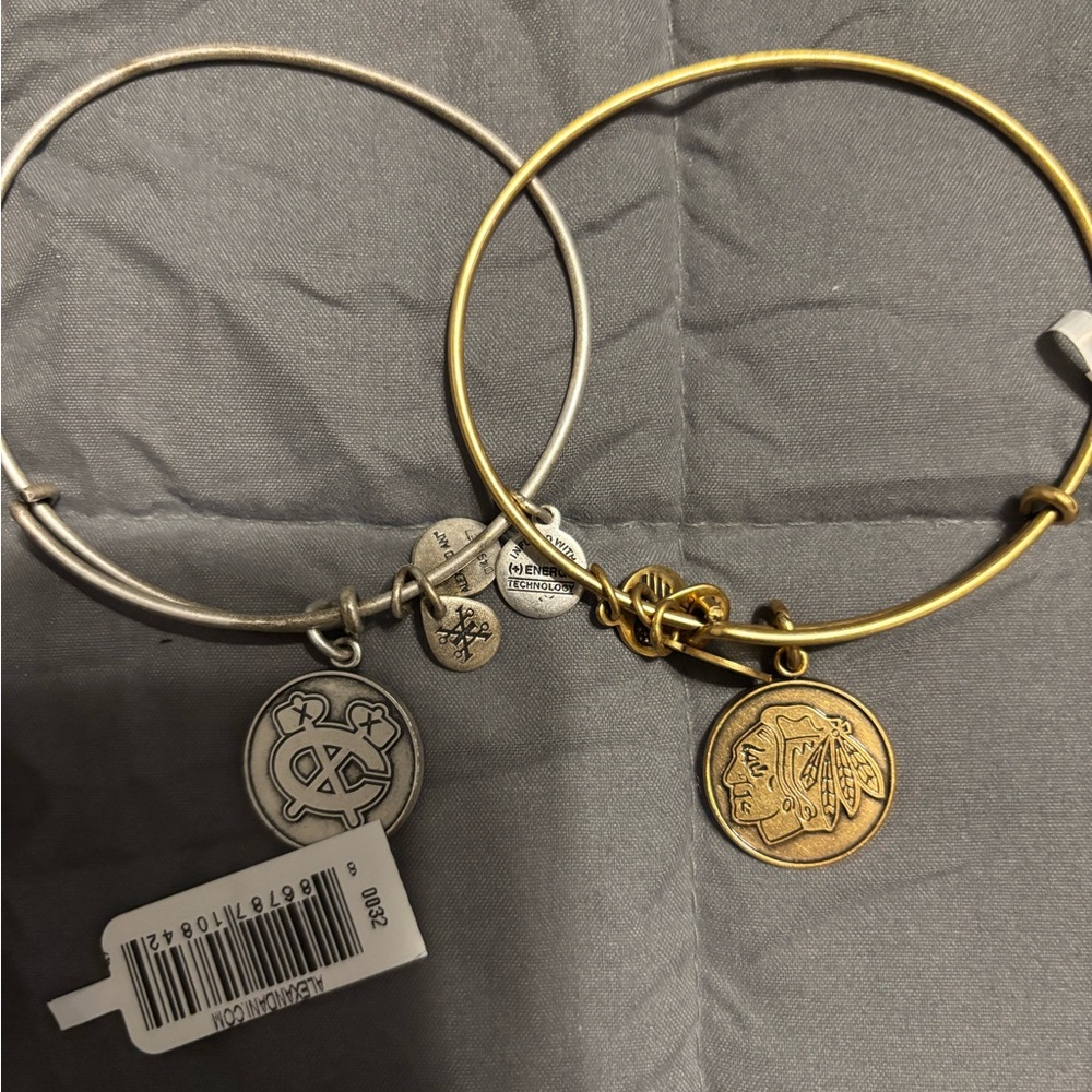 Alex and Ani Gold or Silver Chicago Blackhawks Charm Bangles